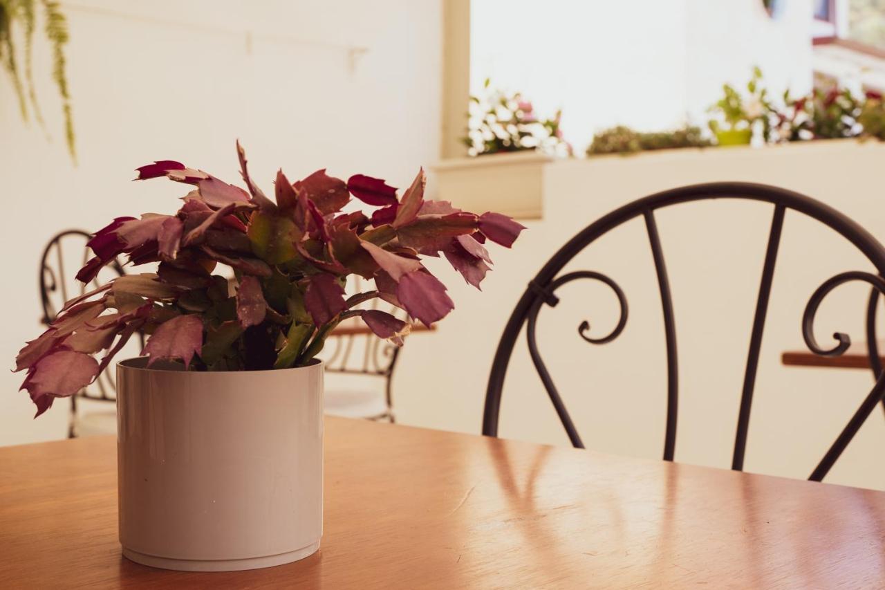 Bed & Breakfast Antico Palmento 3*